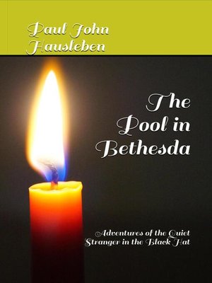 cover image of The Pool in Bethesda Adventures of the Quiet Stranger in the Black Hat